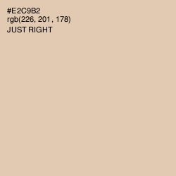 #E2C9B2 - Just Right Color Image